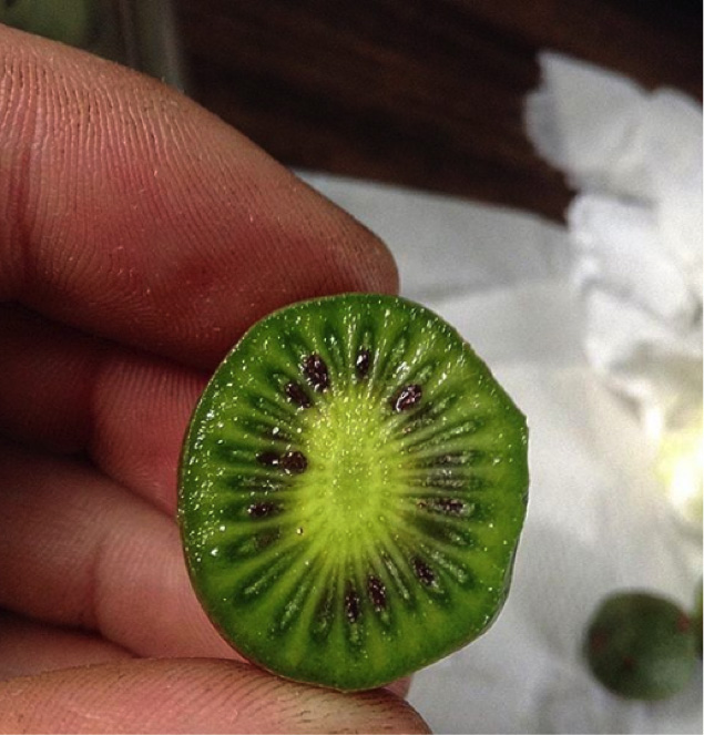 Inside of a kiwiberry