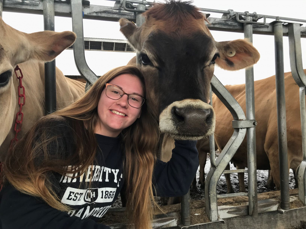 UNH's Jessia Fury '19 with Jersey cow Andie