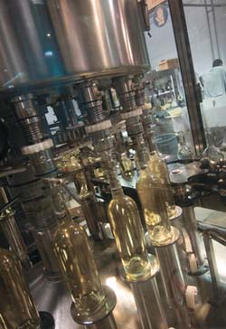 Machine filling wine bottles