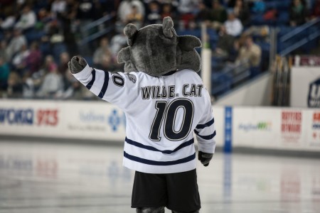 Wild E. Cat at a UNH hockey game