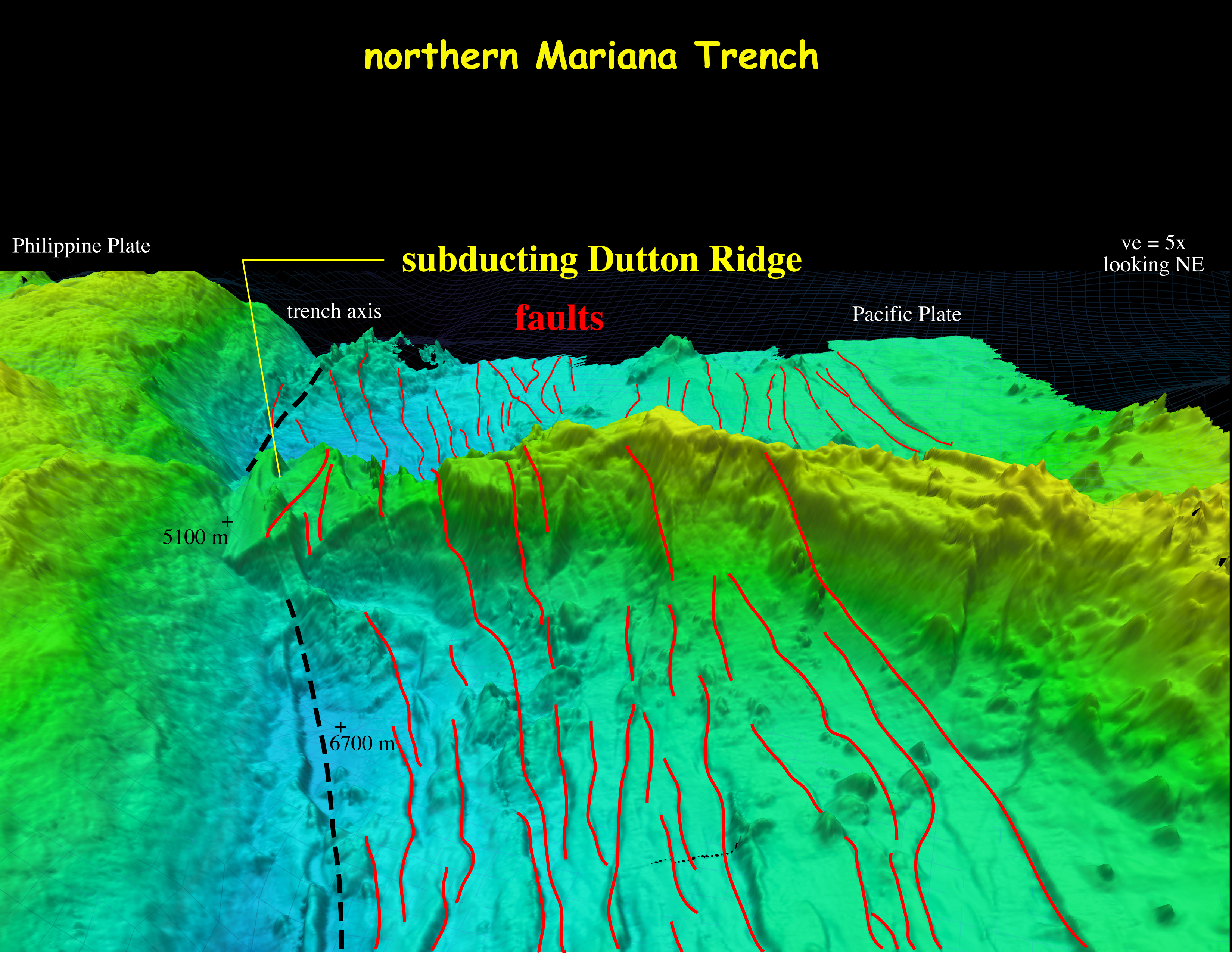 Впадина 3. Марианская впадина 3д. Dutton Ridge Марианская впадина. Марианская впадина рельеф дна. Марианская впадина 3д модель.