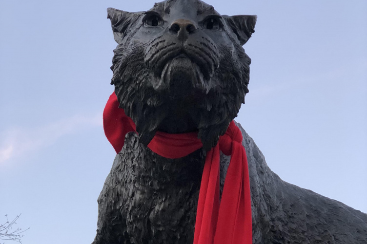 UNH Wildcat Statue in red scarf to commemorate World AIDS Day