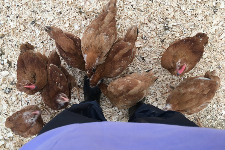 PEEP flock gathers around a student.