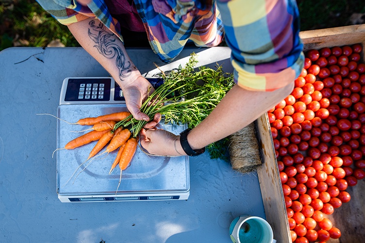 overhead image of carrots being placed on a scale