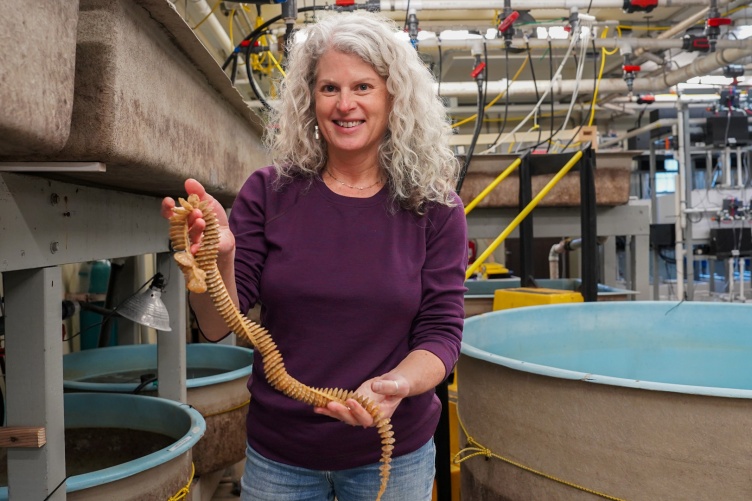 UNH researcher Elizabeth Fairchild standing at the Coastal Marine Lab, holding several whelk egg casings.