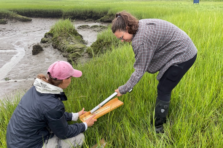 Two researchers stand in an estuary looking at soil samples for microplastics.