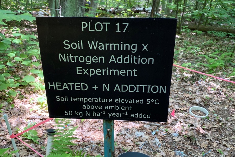 A sign identifying the study site at the Harvard Forest Long-Term Ecological Research site. 