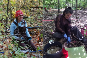 An image of two female scientists working in the field at a study site in the forest