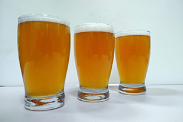 Photo of UNH-brewed beer,  “George Squashington"