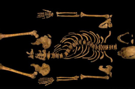 skeleton of richard iii