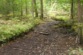 dry stream bed with scientific sensor in the middle