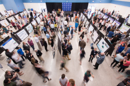 The COLSA Undergraduate Research Conference at UNH