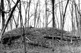 Pre-European Archaeological Monument Site in Michigan