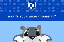 An illustration of Wild E. Cat UNH's 603 Challenge quiz 