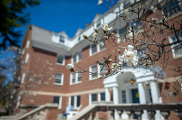 flowers blooming on the UNH campus in spring