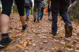 UNH students walking on a trail in College Woods
