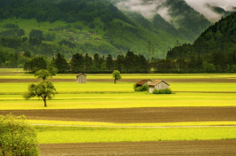 image of rural landscape, pexels.com image