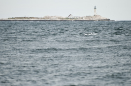 gulf of maine with island in background