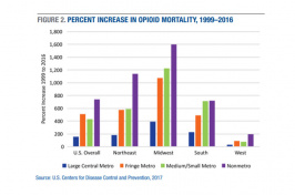 Bar graph of the percent increase in opioid mortality, 1999-2016
