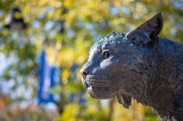 UNH's Wildcat statue in fall