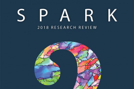 Spark 2018 on Issuu