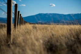grasslands in Wyoming
