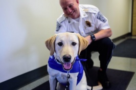 Charlee, therapy dog, and Chief Paul Dean