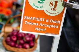 Snap/ebt and debit tokens sign