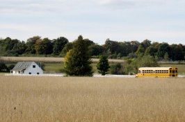 school bus in field
