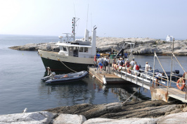 boat docking at the Shoals Marine Lab