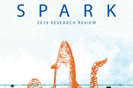 SPARK 2019 Issuu flipbook