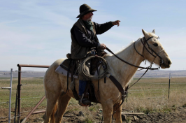 Man rides a horse in rural America
