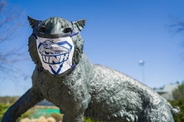 Wildcat Statue wearing a mask