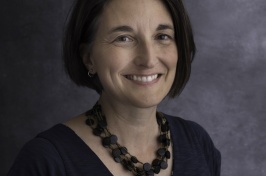 Headshot of professor Serita Frey 