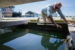  A white man in a blue shirt leans over a pool of water, gesturing to the water’s surface.