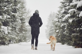 woman walking with her dog in snow