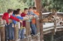 children at a zoo