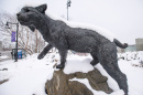 UNH's Wildcat statue in winter