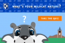 UNH Wildcat Quiz graphic - What's your Wildcat nature?