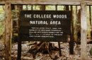 College Woods - UNH