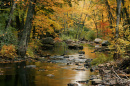 a New Hampshire river during autumn
