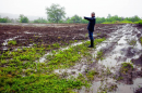 Jane Presby, owner of Dimond Hill Farm in Concord, points to one of the fields yet to be fully planted because of water (GEOFF FORESTER photos / Monitor staff)