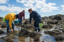 participants in a UNH Cooperative Extension Seaweed Mania Workshop