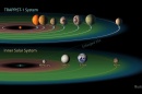 The TRAPPIST-1 system contains a total of seven planets, all around the size of Earth. Three of them -- TRAPPIST-1e, f and g -- dwell in their star's so-called "habitable zone" (shown here in green). NASA/JPL-CALTECH
