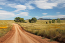 Image of a dirt country road