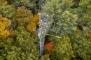 Drone image of research tower in forest in autumn