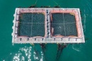 Overhead view of UNH's aquaculture system in the water