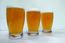 Photo of UNH-brewed beer,  “George Squashington"