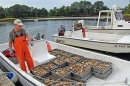 Ray Grizzle/Oyster farming