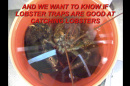 The Tales a Lobster Trap Tells